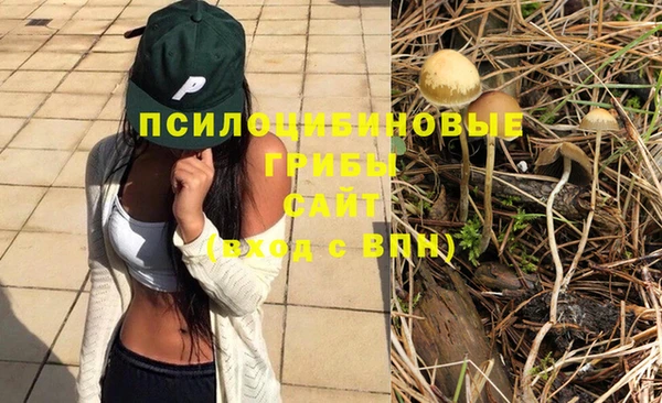 дмт Алексин