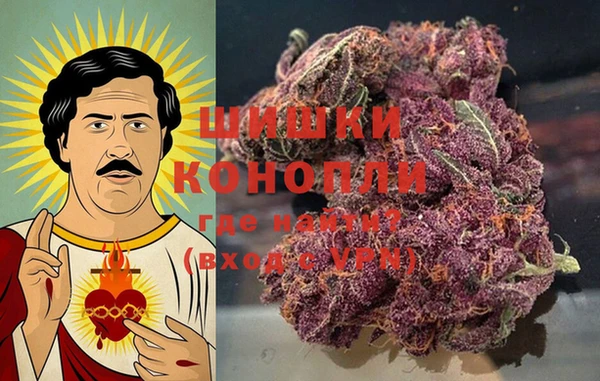 дурь Алексеевка