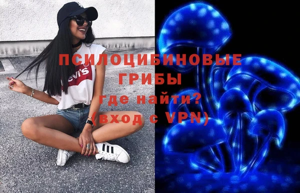 дмт Алексин