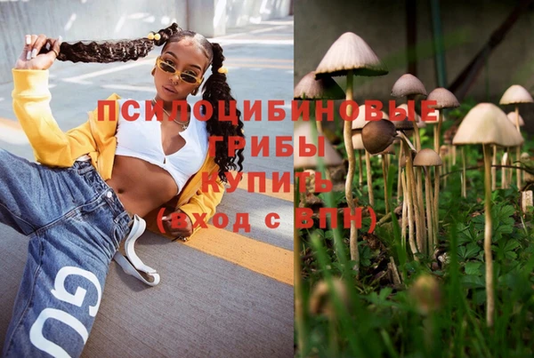 прущая мука Алзамай